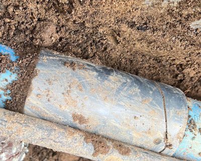 WhatsApp Image 2026-02-25 at 8.14.08 PM