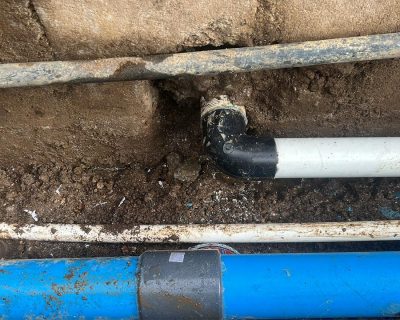 WhatsApp Image 2026-02-25 at 8.14.09 PM