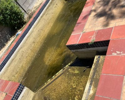 WhatsApp Image 2026-02-25 at 8.14.30 PM (2)